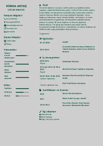 Çocuk Bakıcısı CV Örnekleri cv indir